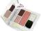 CLINIQUE PALETA COLOUR SURGE CIENIE + ROŻ