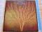 VAN DER GRAFF GENERATOR - STILL LIFE [MINT].UK.1 P