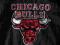 Kurtka Chicago Bulls ! Jordan ! Starter ! XL ! NBA