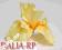 Irys żółty Główka kwiatowa Sztuczne kwiaty