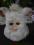 FURBY NA DZIEŃ DZIECKA.