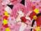 Tokyo Mew Mew manga tom 1 OKAZJA