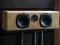 Kolumna centralna Tannoy Mercury Fusion C