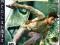 Uncharted Drake's Fortune PS3