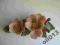 Porcelanowa róza-Capodimonte