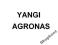 YANGI 1KKK YANG METIN2  agronas S9 BEZ CZEKANIA