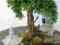 bonsai sztuczne drzewko ozdoba domu, 50 cm