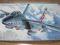 F-14A Tomcat Hasegawa 1:72