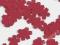 SCRAPKI KWIATY KWIATKI 1,6 CM OKAZJA 100 SZT