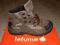 Buty Lafuma Rando 4 GTX, Gore-tex, r. 42, stan BDB