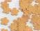SCRAPKI KWIATY KWIATKI 1,6 CM OKAZJA 100 SZT