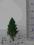 koDrzewa, drzewko, las H0, TT, 35mm