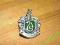 Harry Potter brosza SLYTHERIN