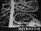 MIRKWOOD - MIRKWOOD - LP 180 GR. UNIKAT