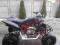 YAMAHA RAPTOR SPECIAL EDITION 700