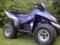 quad keeway , dragon 250