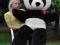 PANDA GIGANT 170cm.SERCE Z NADRUKIEM! MEGA PREZENT