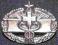 Combat Medical Badge, bojowa odznaka II nadanie