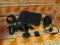 R___Sony PlayStation 2 Slim! KOMPLET! Warto!