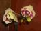 Phalaenopsis ciekawostka do kolekcji.Warto+GRATIS!
