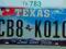 Texas : tablica rejestracyjna z USA