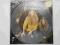 MEGADETH-SYMPHONY OF DESTRUCTION /CLEAR VINYL/