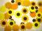 [totti-10] scrapki SŁONECZNIKI 3,7  cm