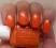 Lakier Essie Braziliant  # 754 PROMOCJA