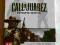 Call of Juarez: Revolver Edition Pl - folia