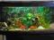 AKWARIUM 115l, profil + szafka + całe wyposarzenie