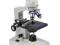 Mikroskop Delta Optical BioStage SKLEP 24GW