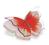 PUPA MISS BUTTERFLY COLLECTION NR 04 - PARAGON
