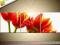 * OBRAZ 150x50 - TULIPANY - OBRAZY KWIATY  ARTWENA