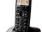 TELEFON PANASONIC KX-TG2511 Dect/Tytan