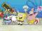 SpongeBob Kanciastoporty - plakat 91,5x61 cm