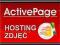 SERWER HOSTING Rewelacyjny system pod Allegro ROK