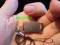 WYCZESANY ULTRA MINI PENDRIVE FLASHDRIVE 4GB PQI