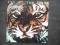 SURVIVOR "EYE OF TIGER"