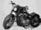 Harley- Davidson Fireweed Inc Thorn custom made