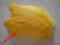 Pióra gęsie żółty - dobra cena !!!