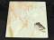 Jefferson Airplane Bark LP