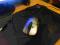 Microsoft Intellimouse 3.0 (IE 3.0)