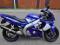 Yamaha YZF 600R Thundercat