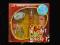 Disney High School Musical Zestaw kosmetyczny 6 el