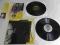 STING : 2LP FIELDS OF GOLD