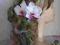 SALLY GARDENS storczyk podwójny biały - środek róż