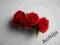 SALLY GARDENS stroik ślubny czerwone różyczki