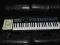 CASIO CA 110 keyboard - O K A Z J A