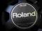 Roland PD 105