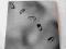 PETER GABRIEL Up (2LP) - 2002 Real World / nMINT